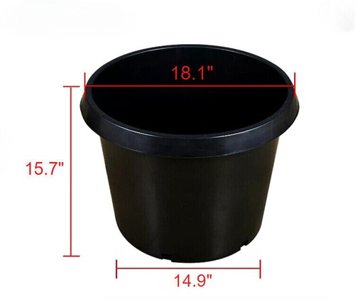 Gallon plastic garden plant - gallon,